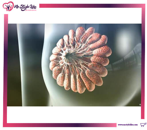 Afinitor 5mg 30 tabs أفينتور أقراص لعلاج سرطان الثدي